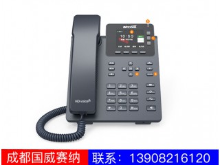 入門(mén)級(jí)IP電話機(jī)