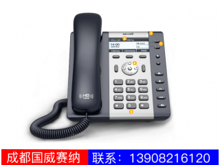 入門(mén)級(jí)IP電話機(jī)-A10A11