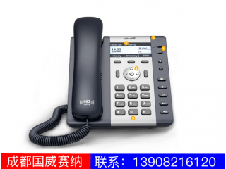 入門(mén)級(jí)IP電話機(jī)-A21