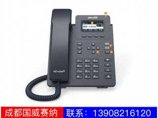 入門(mén)級(jí)IP電話機(jī)-D20D21