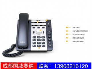 入門(mén)級(jí)IP電話機(jī)-A16