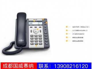 入門(mén)級(jí)IP電話機(jī)-A26