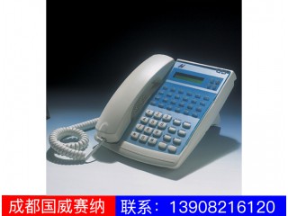 WS824-520E專(zhuān)用話機(jī)