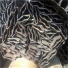 阜陽(yáng)面包管 橢圓管 量大從優(yōu)