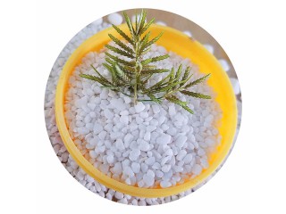 廠家直銷雪花白石米 石米價(jià)格  石米廠家 水洗雪花白 精品白石米 天然鵝卵石