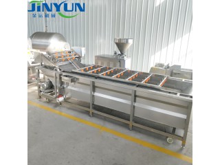 蔬菜清洗流機(jī)，金運(yùn)機(jī)械廠家直銷