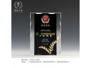 十佳刑警獎(jiǎng)杯 市公安局表彰大會(huì)獎(jiǎng)杯制作 警察退休紀(jì)念牌榮譽(yù)牌