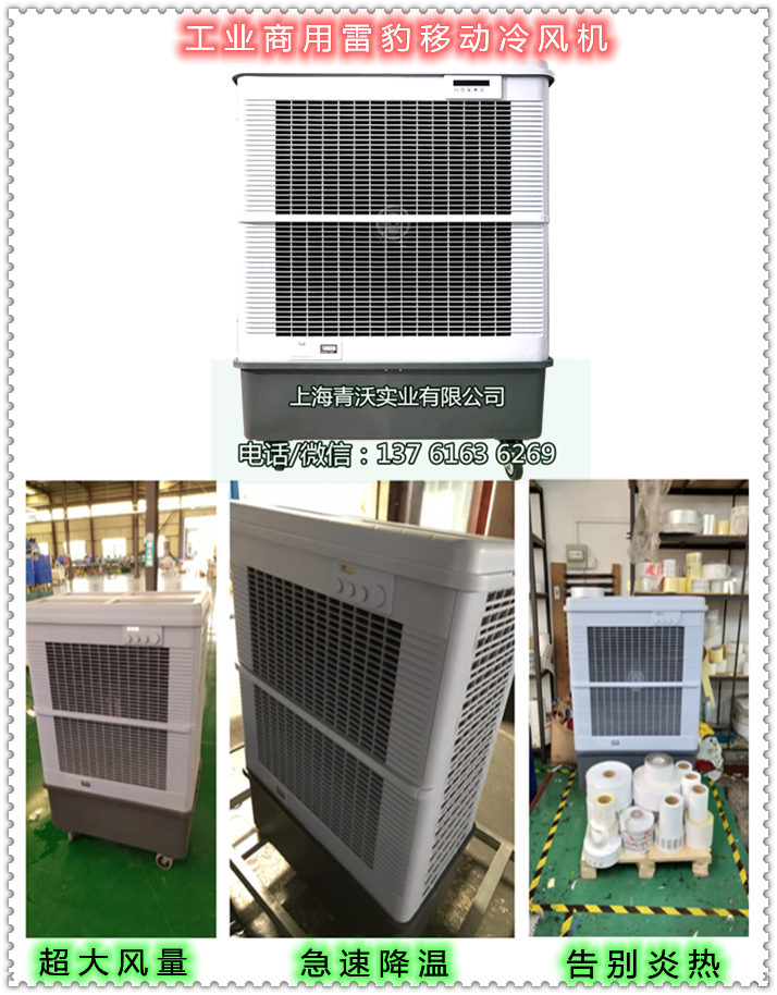 工業(yè)商用雷豹移動冷風機