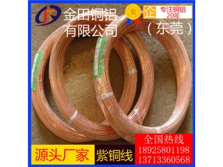 高品質(zhì)t2紫銅線/t5耐腐蝕紫銅線，t6無磁紫銅線