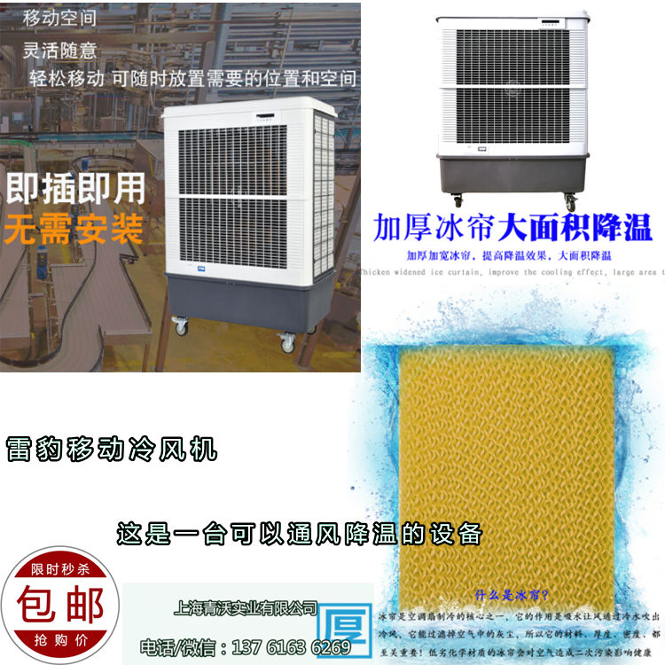 雷豹移動降溫冷風(fēng)機(jī)（4）