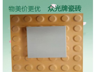 河南民營企業(yè)-眾光全瓷盲道磚生產(chǎn)廠家