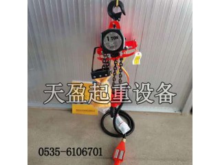 廊坊SAN-EI氣動(dòng)葫蘆現(xiàn)貨,汽車(chē)裝配線(xiàn)用氣動(dòng)葫蘆定位準(zhǔn)