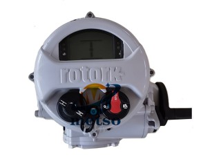 Rotork原裝羅托克執(zhí)行機(jī)構(gòu) IQT角行程電動(dòng)執(zhí)行機(jī)構(gòu)
