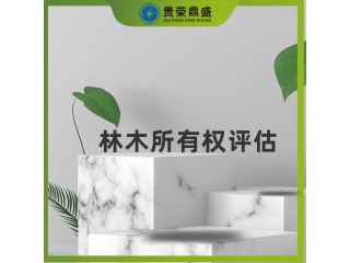 山西省太原市無形資產(chǎn)評估林木所有權(quán)評估今日推薦