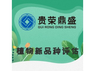 山東省東營(yíng)市資產(chǎn)評(píng)估機(jī)構(gòu)植物新品種評(píng)估今日新訊