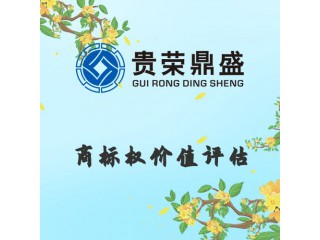浙江省寧波市商標(biāo)權(quán)價(jià)值評(píng)估資產(chǎn)評(píng)估今日更新