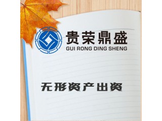 河南省許昌市無形資產(chǎn)出資評(píng)估今日新訊