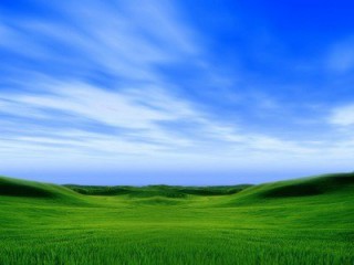 2025山東醫(yī)療器械展|2025山東春季醫(yī)博會