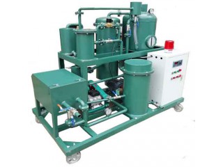 供應(yīng)國能TYL多功能真空帶板框除雜濾油機(jī)