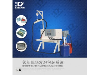 領新聚氨酯 航空儀表 包裝發(fā)泡機器設備